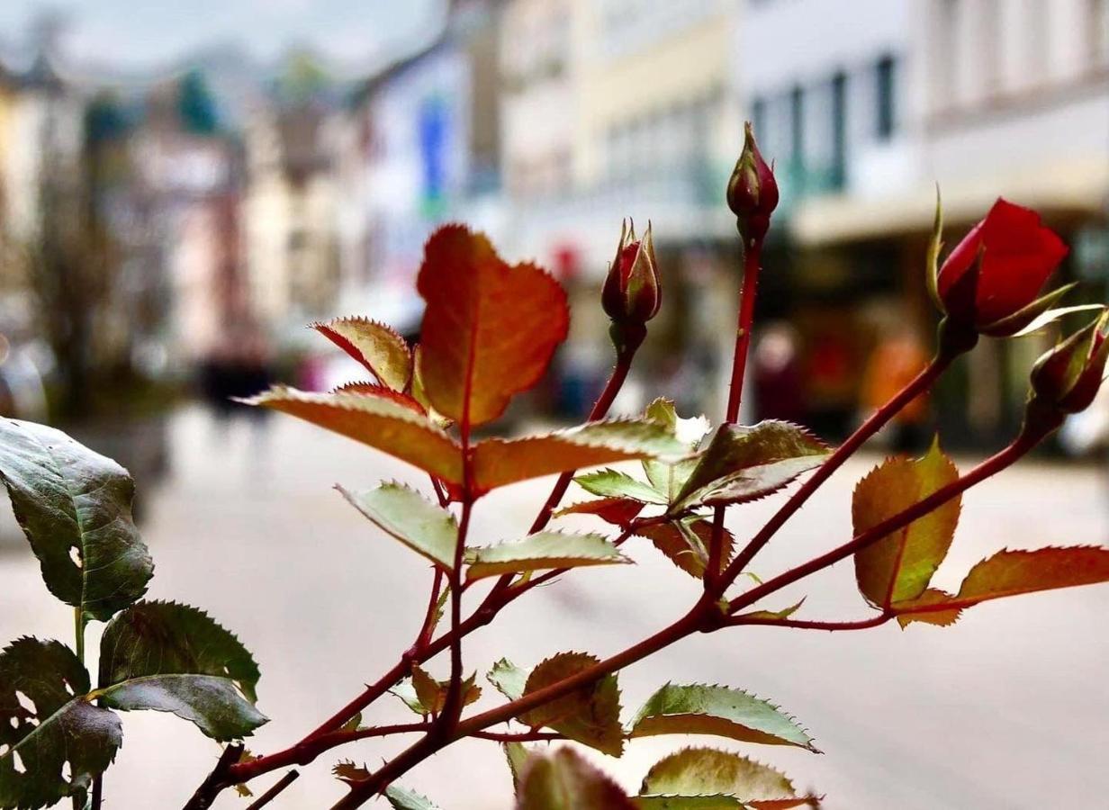 Apartament Das-Lagerhaus-Kleine-Oase Zweibrücken Zewnętrze zdjęcie